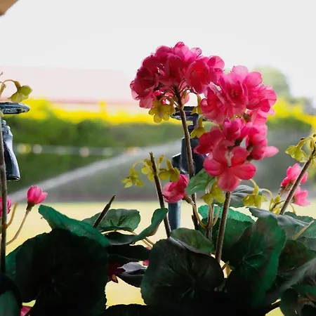 Ferienhaus Renaissance Holidays Nea Kallikrateia