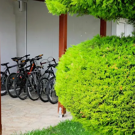 Renaissance Holidays *